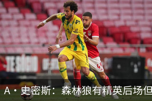 A·史密斯：森林狼有精英后场但体型变小 难应对雷霆马刺火箭掘金